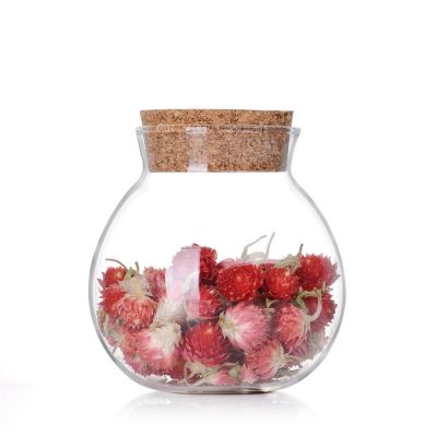 500ml Borosilicate Glass Kitchen Storage Jars Spherical Round Food Storage Glass Jar With Cork Lid 