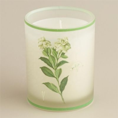 frosted glass candle jar/Candle Cup with beautiful design