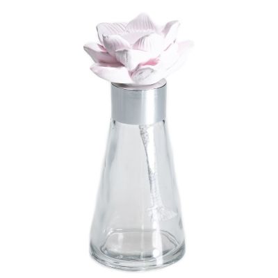 Customize 70ml Cone Shape Clear Aroma Diffuser Glass Bottle With Gypsum Flower