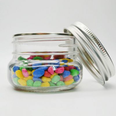 Mini Mason Jars Glass Canning Jars,4 OZ Jelly Jars Silver With Regular Lids