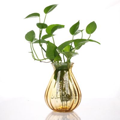 Wide Mouth Home Decor Centerpieces Gift Art Ribbed Glass Flower Vase for Decoration