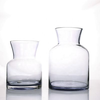 Vase Hydroponic Bottle Dry Vase Glass Flower Bottle 