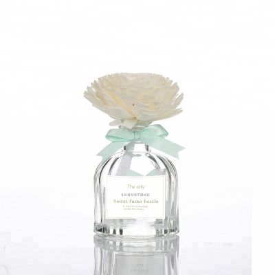 Luxury 100ml Birdcage Shape Aroma Reed Diffuser Glass Bottle 