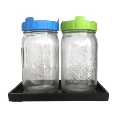 Large 32oz 1000ml Glass Mason Jar with Plastic Bean Sprouting Mesh Lid 