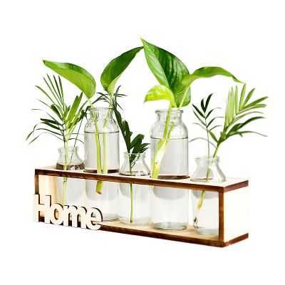Geometric Rack Wall Hanging Glass Vase for Home Decor