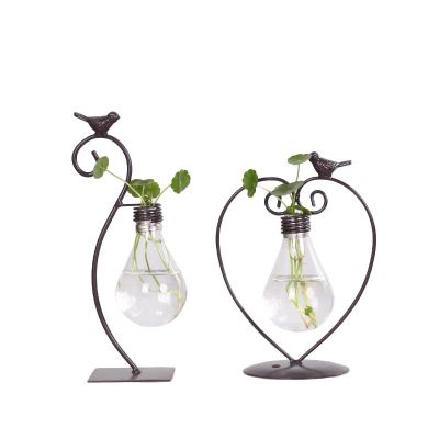 Plant Hydroponic Glass Bottle Wrought Iron FlowerVase Office Living Room Tabletop Decoration Creative Vase 