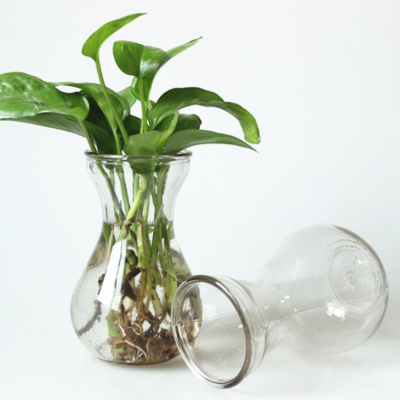 Wholesale Cheap Clear Fashionable Mini Flower Glass Hyacinth Vase Hydroponic Jar