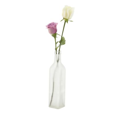 Modern home decor tall frosted bottle glass vase 
