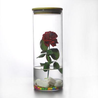Micro Landscape Ecological Tissue Culture Vessels Glass Bottles Vases Decoration 
