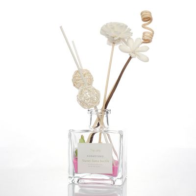 High quality new design transparent glass diffuser perfume bottle 