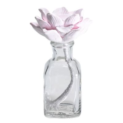 Home Decorative Aroma Diffuser Bottle 50ml Clear Empty Perfume Diffuser Bottle 