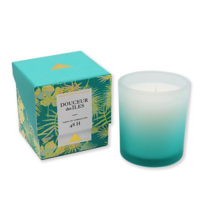China supplier handmade Exquisite Paraffin Wax Frosted Glass Candle fragrance Scented Candle