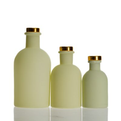 Home use diffuser fragrance bottle 100ml 150ml 250ml diffuser glass bottle wholesale
