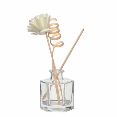 High quality Special Shape Clear 100 ML Reed Diffuser Glass Bottle With Lid
