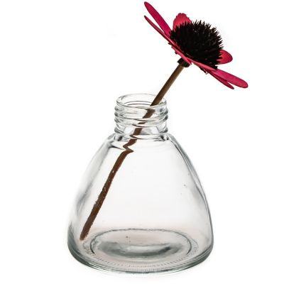 Hot Sale Cheap Clear Cone Shaped Flower Diffuser Bottles 130ml Glass Vase Bottle