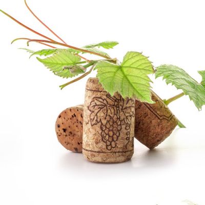 Logo Customized Cork Cap Natural T-plug Agglomerated Wooden Wine Champagne Cork Stoppers Wholesale