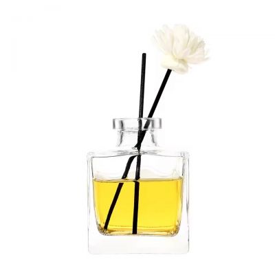 Crystal Thick Clear Transparent Refillable Square Modern Style 20mL 30mL 50mL 100mL Glass Diffuser Bottle With Cork